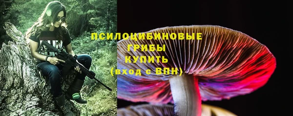 твердый Волоколамск
