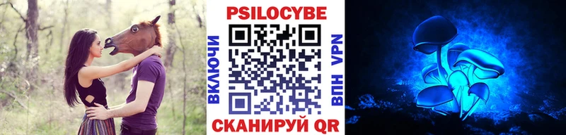 Купить закладки  Красный Холм  Псилоцибиновые грибы MAGIC MUSHROOMS 